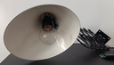 signal-2026-07-18-18-20-03-038_002.webp